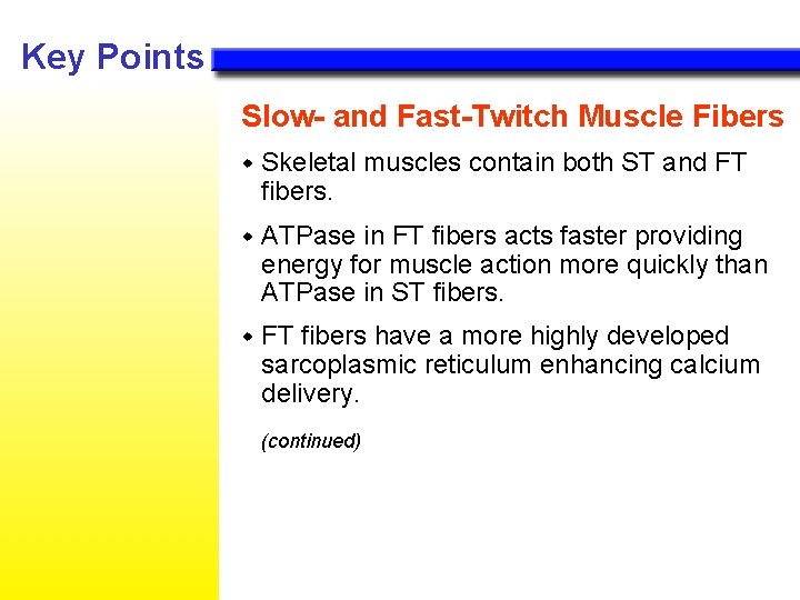 Key Points Slow- and Fast-Twitch Muscle Fibers w Skeletal muscles contain both ST and