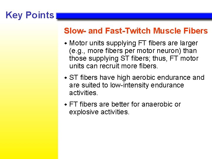 Key Points Slow- and Fast-Twitch Muscle Fibers w Motor units supplying FT fibers are