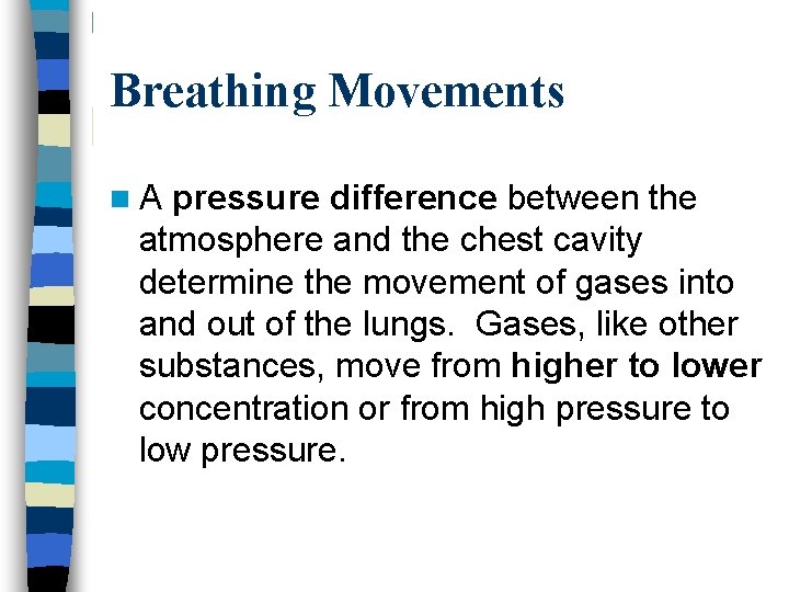 Breathing Movements n A pressure difference between the atmosphere and the chest cavity determine
