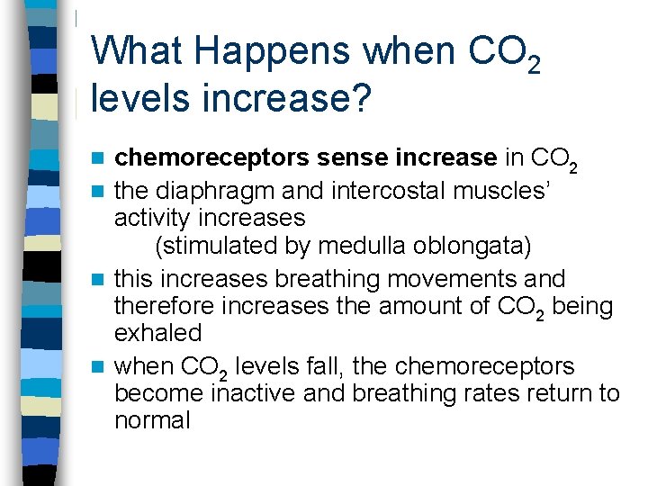 What Happens when CO 2 levels increase? chemoreceptors sense increase in CO 2 n