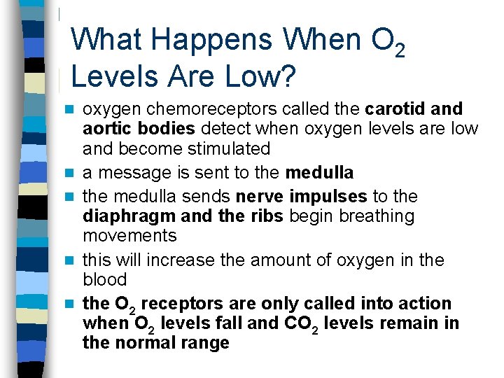 What Happens When O 2 Levels Are Low? n n n oxygen chemoreceptors called