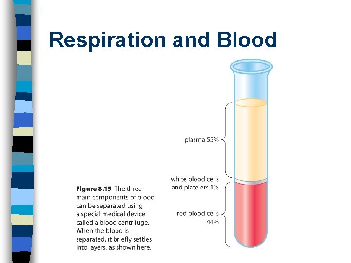 Respiration and Blood 