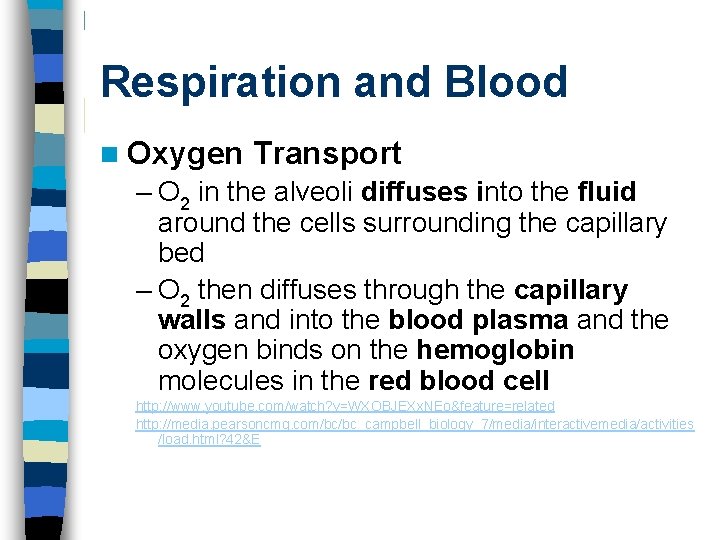 Respiration and Blood n Oxygen Transport – O 2 in the alveoli diffuses into
