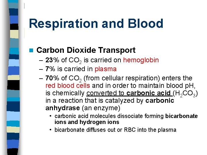 Respiration and Blood n Carbon Dioxide Transport – 23% of CO 2 is carried