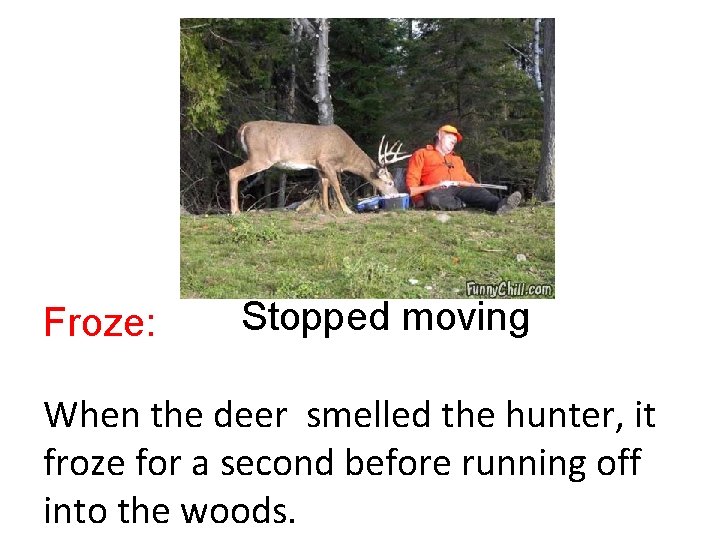 Froze: Stopped moving When the deer smelled the hunter, it froze for a second