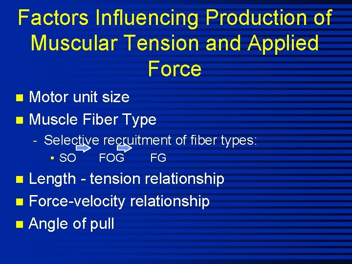 Factors Influencing Production of Muscular Tension and Applied Force Motor unit size n Muscle