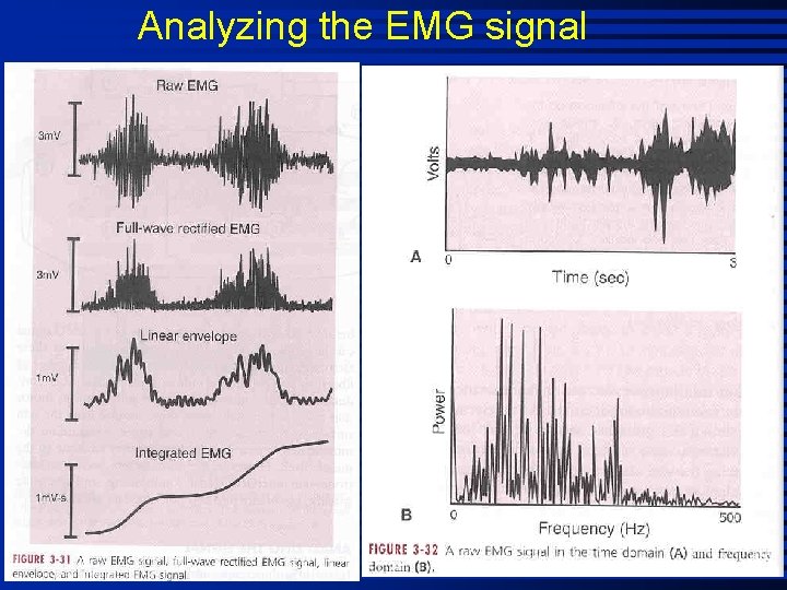 Analyzing the EMG signal 