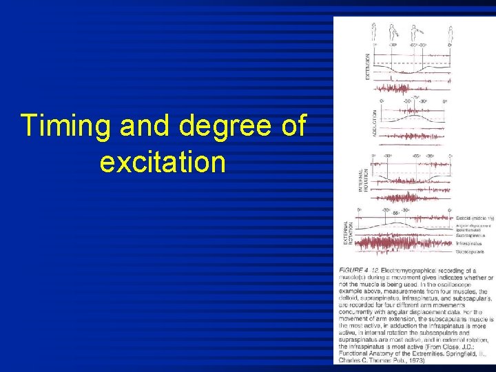 Timing and degree of excitation 