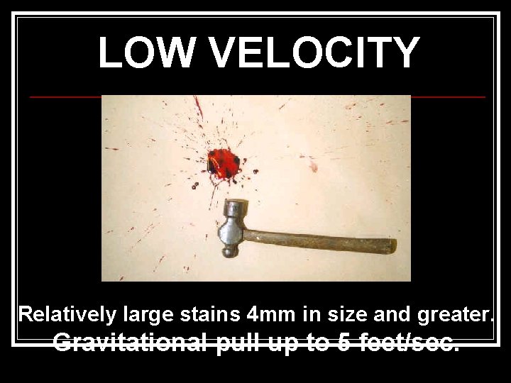 LOW VELOCITY Relatively large stains 4 mm in size and greater. Gravitational pull up