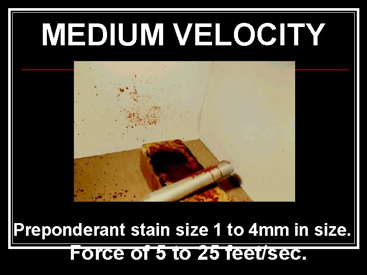 MEDIUM VELOCITY Preponderant stain size 1 to 4 mm in size. Force of 5 MEDIUM VELOCITY Preponderant stain size 1 to 4 mm in size. Force of 5