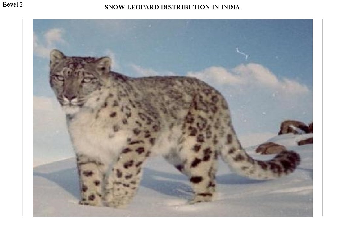 Bevel 2 SNOW LEOPARD DISTRIBUTION IN INDIA 