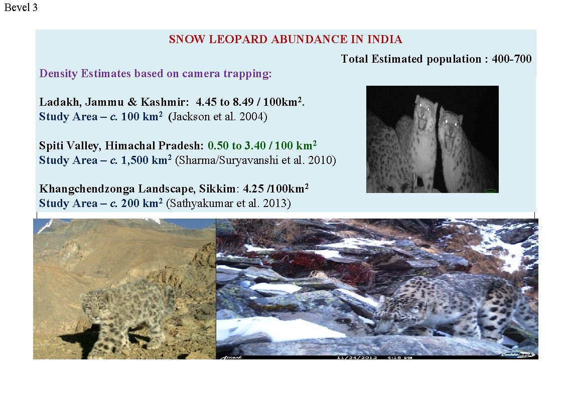 Bevel 3 SNOW LEOPARD ABUNDANCE IN INDIA Total Estimated population : 400 -700 Density