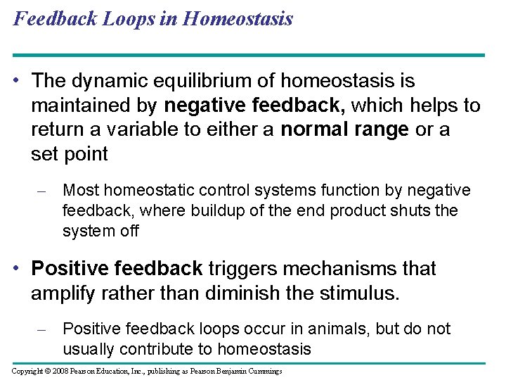 Feedback Loops in Homeostasis • The dynamic equilibrium of homeostasis is maintained by negative