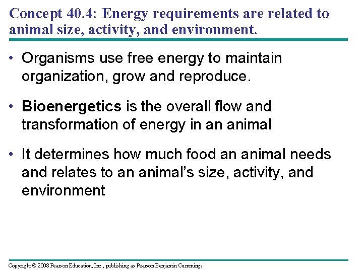 Concept 40. 4: Energy requirements are related to animal size, activity, and environment. •