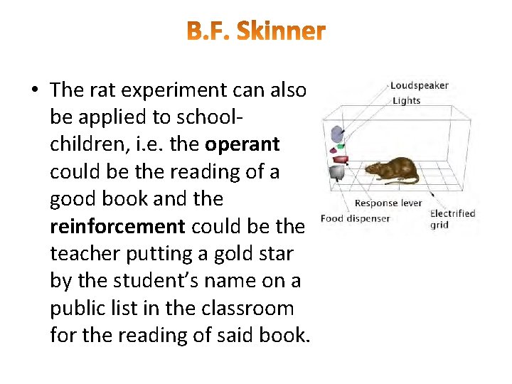  • The rat experiment can also be applied to schoolchildren, i. e. the