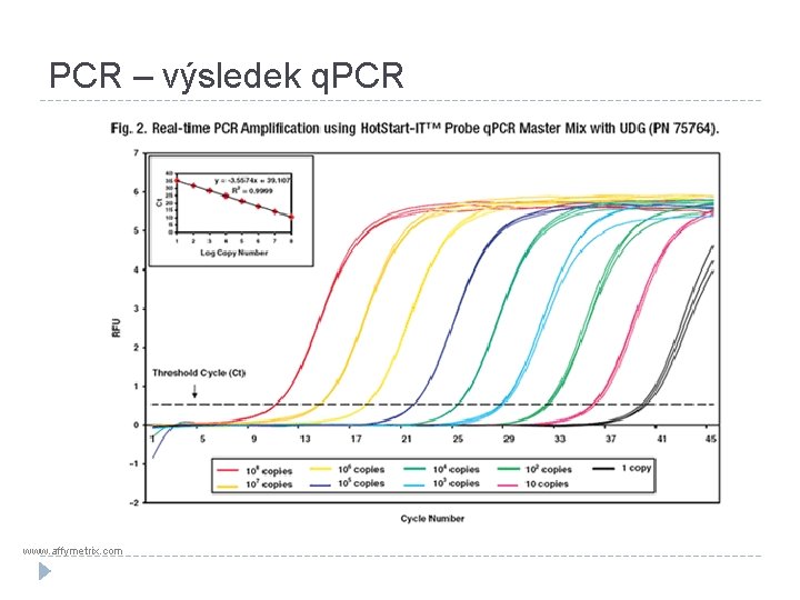 PCR – výsledek q. PCR www. affymetrix. com 