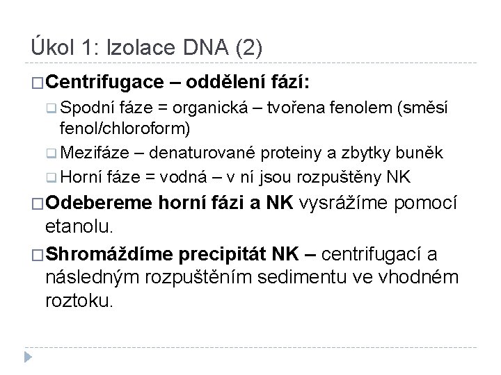 Úkol 1: Izolace DNA (2) �Centrifugace – oddělení fází: q Spodní fáze = organická