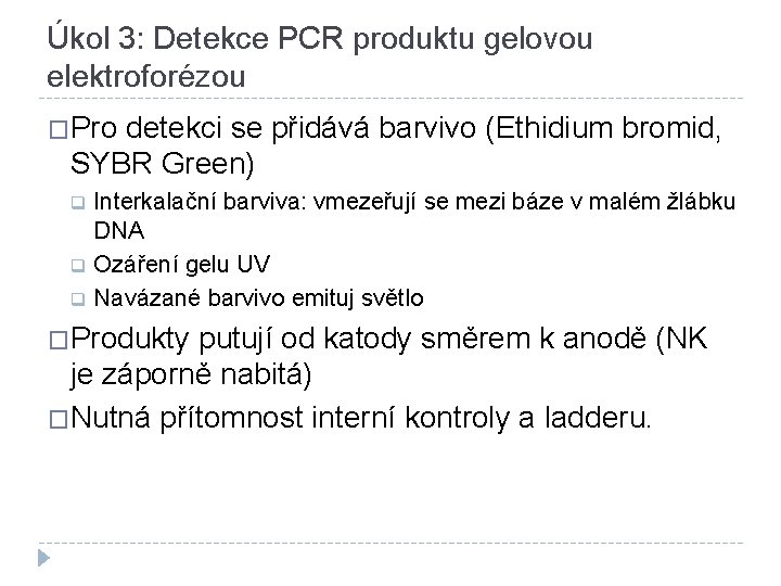 Úkol 3: Detekce PCR produktu gelovou elektroforézou �Pro detekci se přidává barvivo (Ethidium bromid,