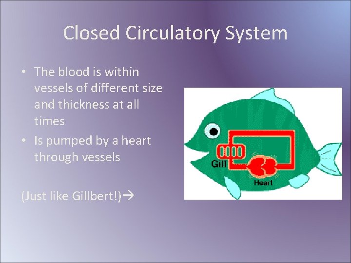 Closed Circulatory System • The blood is within vessels of different size and thickness