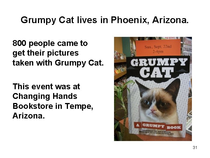 Grumpy Cat lives in Phoenix, Arizona. 800 people came to get their pictures taken