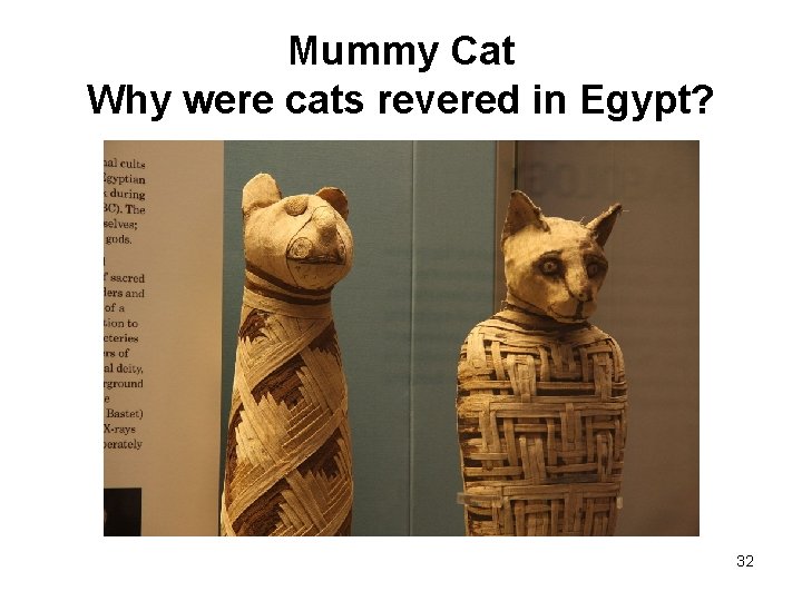 Mummy Cat Why were cats revered in Egypt? 32 