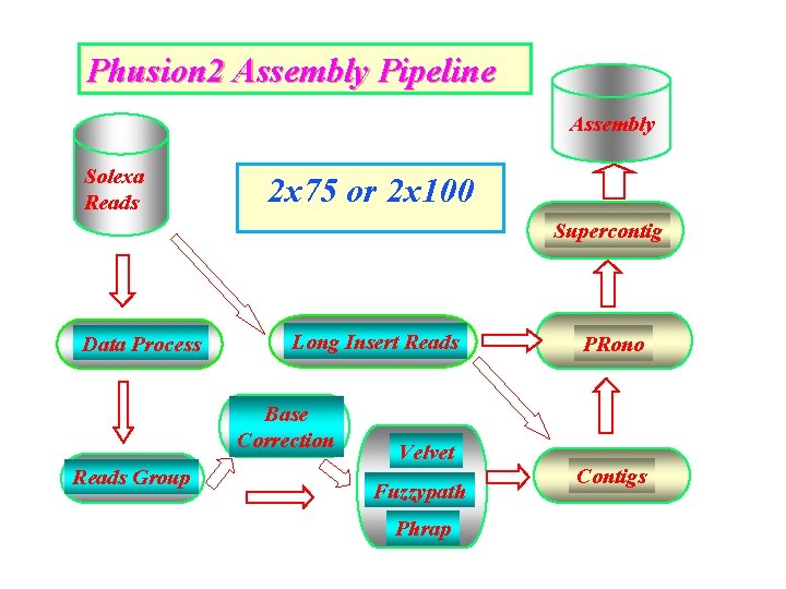 Phusion 2 Assembly Pipeline Assembly Solexa Reads 2 x 75 or 2 x 100