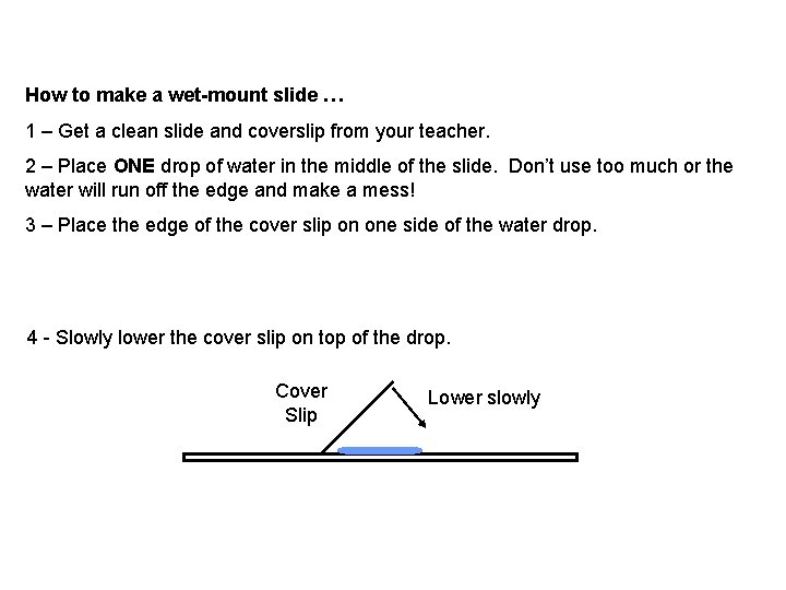 How to make a wet-mount slide … 1 – Get a clean slide and