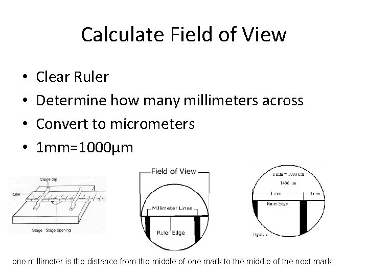 Calculate Field of View • • Clear Ruler Determine how many millimeters across Convert