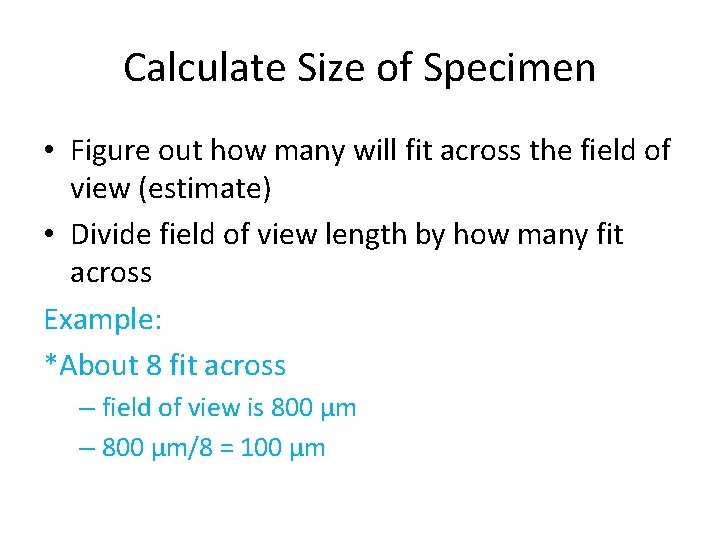 Calculate Size of Specimen • Figure out how many will fit across the field