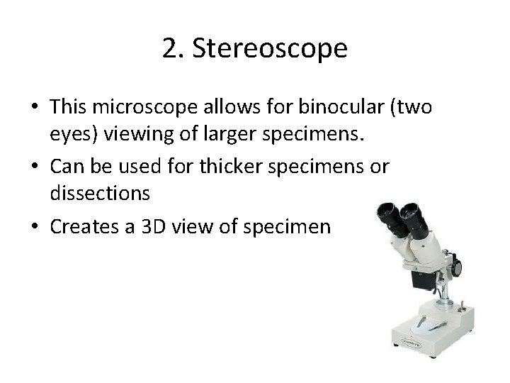 2. Stereoscope • This microscope allows for binocular (two eyes) viewing of larger specimens.