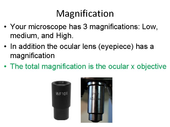 Magnification • Your microscope has 3 magnifications: Low, medium, and High. • In addition