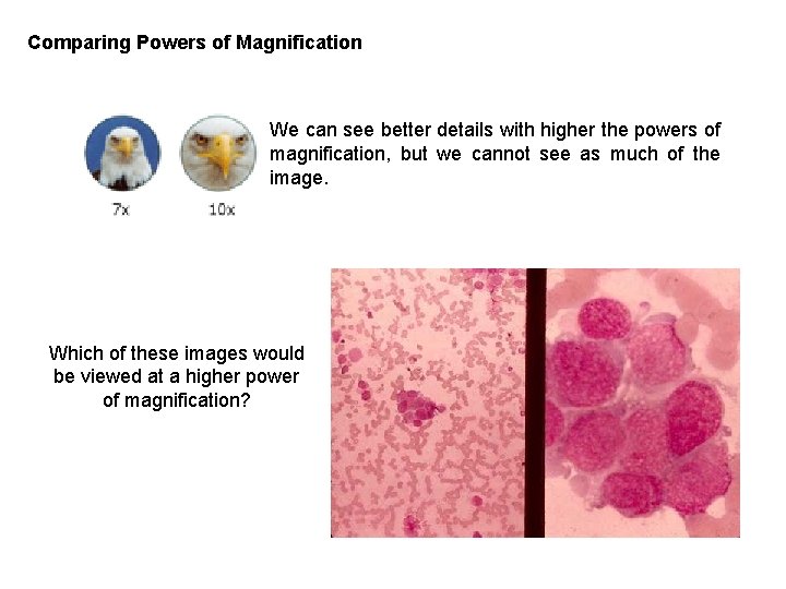 Comparing Powers of Magnification We can see better details with higher the powers of