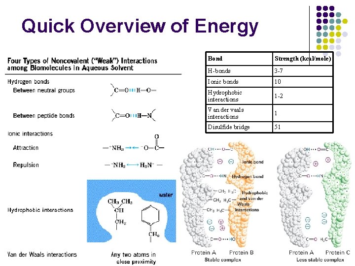 Quick Overview of Energy Bond Strength (kcal/mole) H-bonds 3 -7 Ionic bonds 10 Hydrophobic