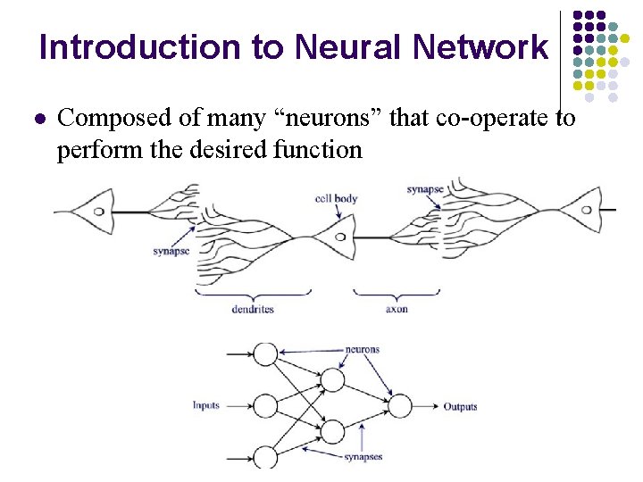 Introduction to Neural Network l Composed of many “neurons” that co-operate to perform the