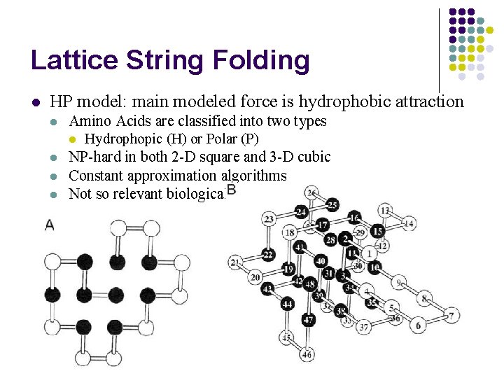 Lattice String Folding l HP model: main modeled force is hydrophobic attraction l l