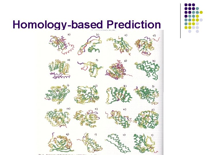 Homology-based Prediction 