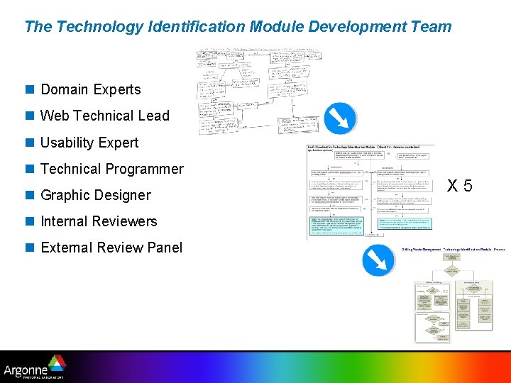 The Technology Identification Module Development Team n Domain Experts n Web Technical Lead n