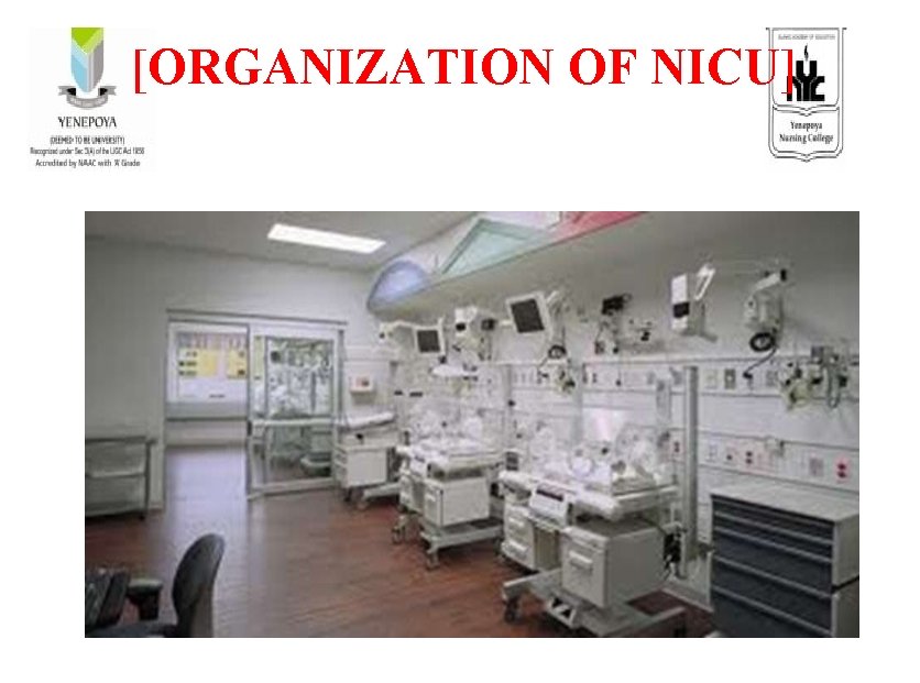 [ORGANIZATION OF NICU] 
