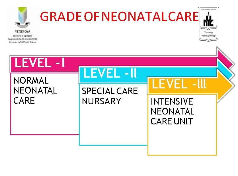GRADE OF NEONATAL CARE LEVEL - l NORMAL NEONATAL CARE LEVEL - ll SPECIAL