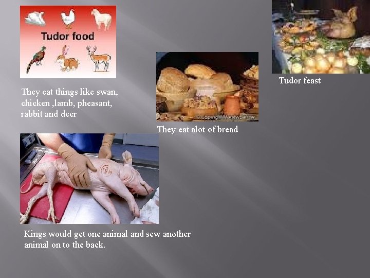 Tudor feast They eat things like swan, chicken , lamb, pheasant, rabbit and deer