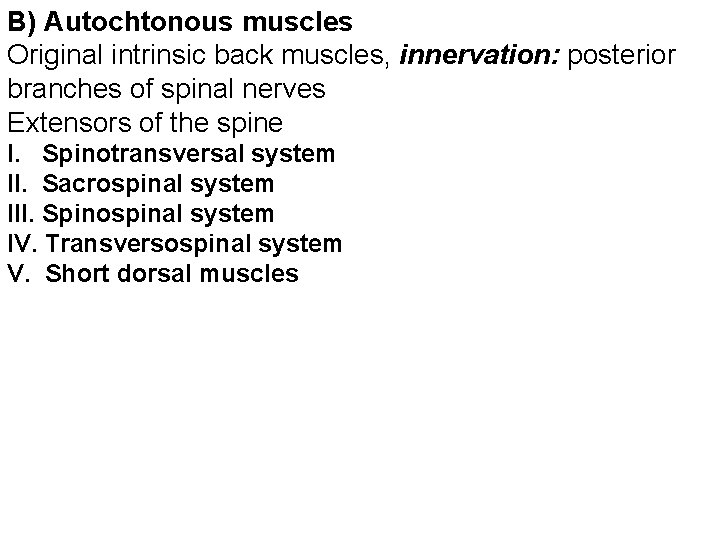 B) Autochtonous muscles Original intrinsic back muscles, innervation: posterior branches of spinal nerves Extensors