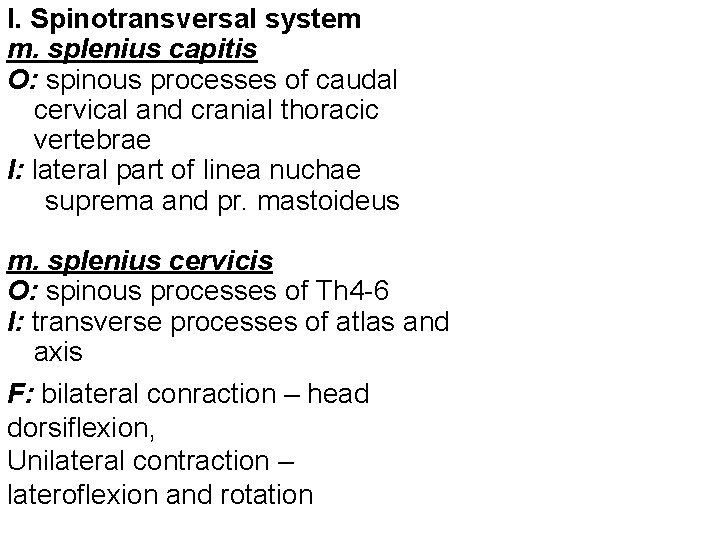 I. Spinotransversal system m. splenius capitis O: spinous processes of caudal cervical and cranial