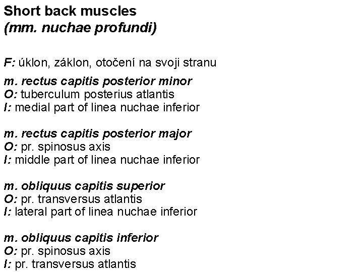 Short back muscles (mm. nuchae profundi) F: úklon, záklon, otočení na svoji stranu m.