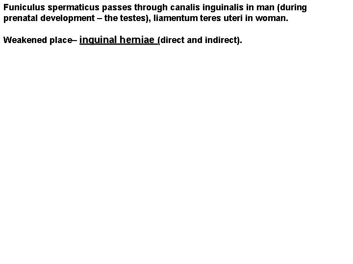 Funiculus spermaticus passes through canalis inguinalis in man (during prenatal development – the testes),