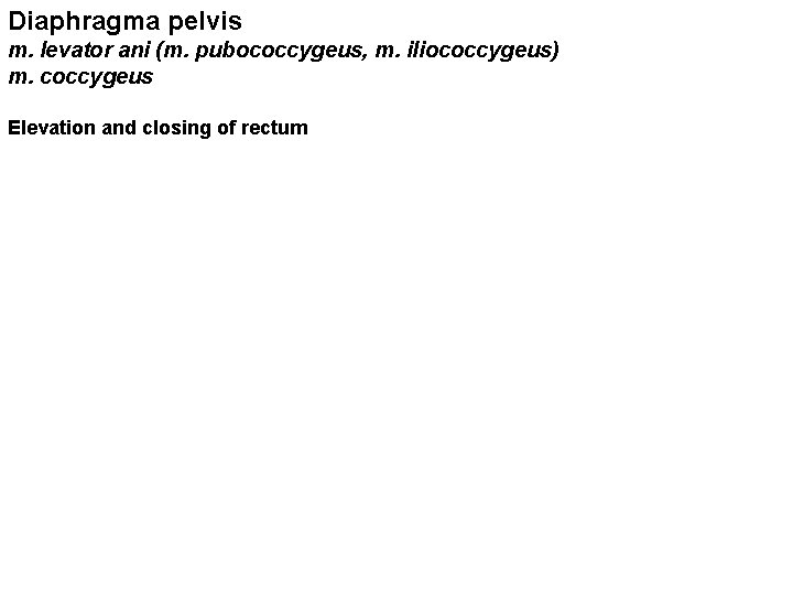 Diaphragma pelvis m. levator ani (m. pubococcygeus, m. iliococcygeus) m. coccygeus Elevation and closing