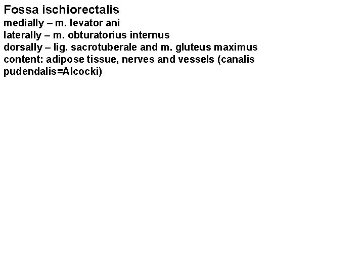 Fossa ischiorectalis medially – m. levator ani laterally – m. obturatorius internus dorsally –