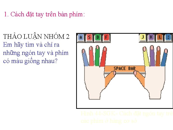 1. Cách đặt tay trên bàn phím: THẢO LUẬN NHÓM 2 Em hãy tìm