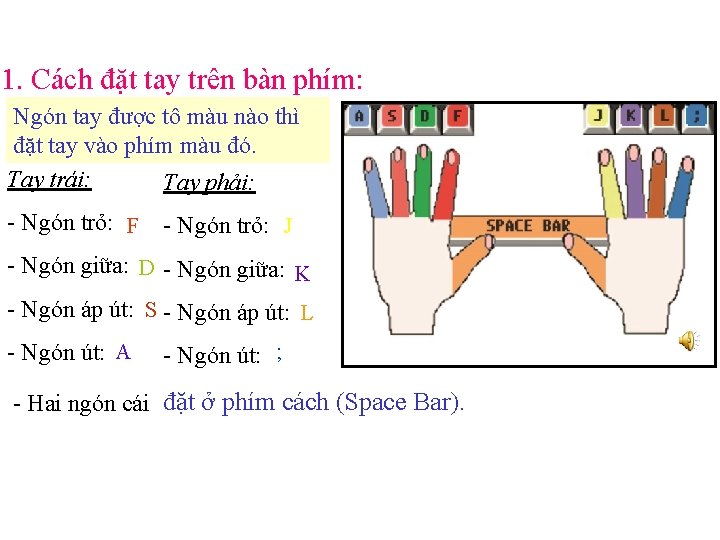 1. Cách đặt tay trên bàn phím: Ngón tay được tô màu nào thì