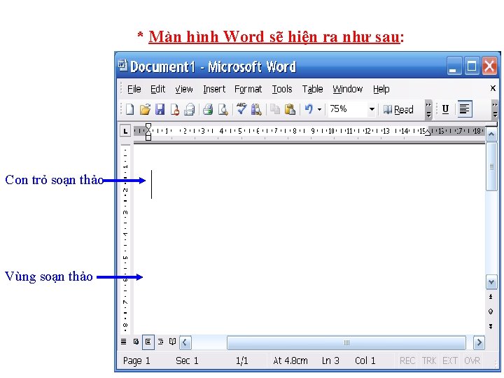 * Màn hình Word sẽ hiện ra như sau: Con trỏ soạn thảo Vùng