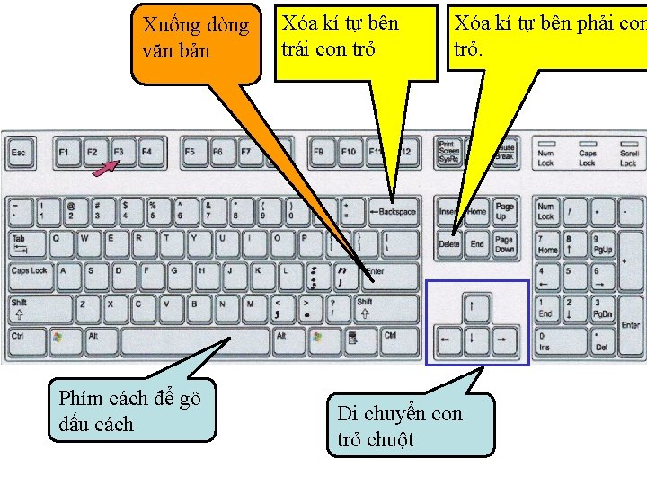 Xuống dòng văn bản Phím cách để gõ dấu cách Xóa kí tự bên